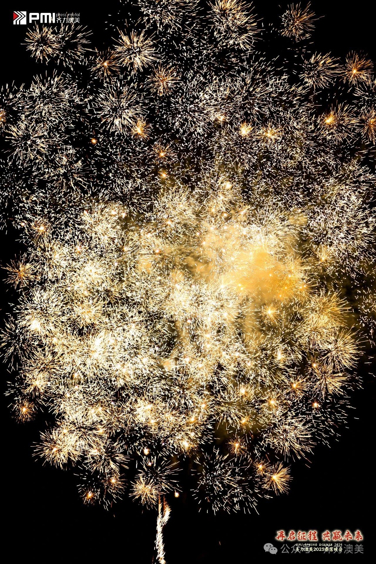 1741847349515403.jpg cd8d2a56-0b13-409c-bff9-8dc01a99986d.jpg